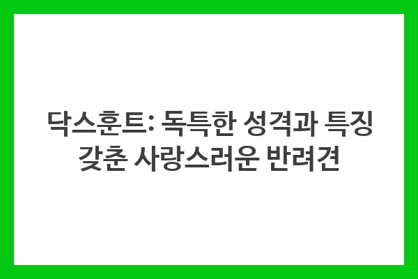 닥스훈트: 사랑스럽고 충성스러운 반려견을 원하는 사람들에게 이상적인 선택