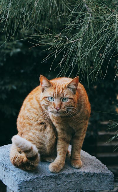 과도한 핥기 대처법, 의학적 원인, 행동적 원인