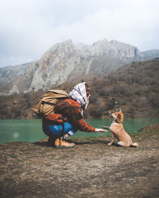 실외사육에 가장 적합한 견종