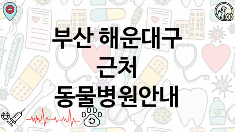 부산 해운대구 근처 동물병원