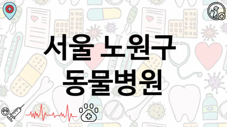 노원구 추천 인근 반려 동물병원