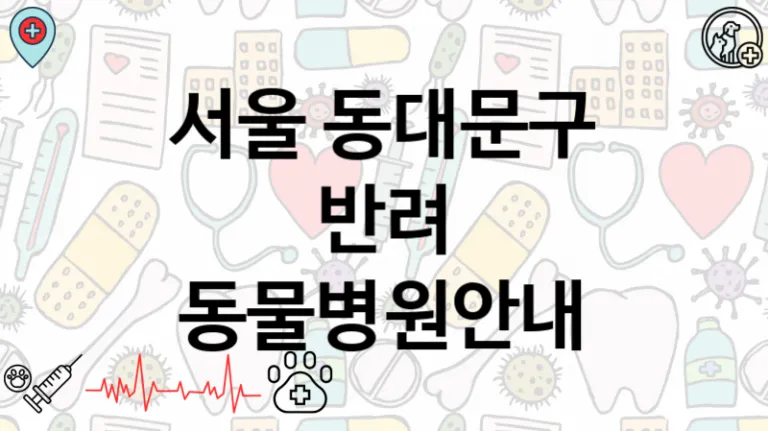 동대문구 추천 주변  동물병원