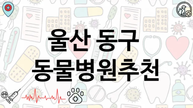 동구   반려 동물병원