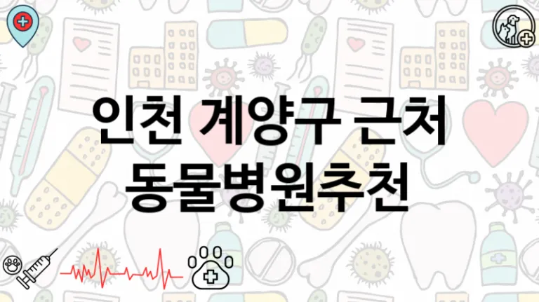 계양구  주변 진료가능한 동물병원