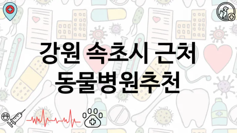 강원 속초시  동물병원안내
