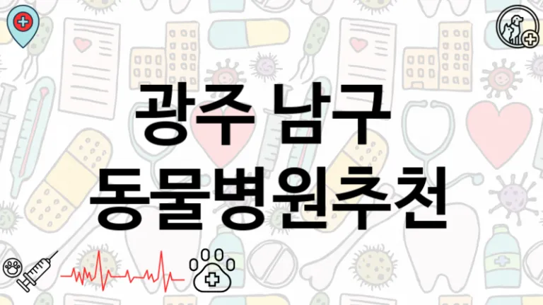광주 남구  동물병원