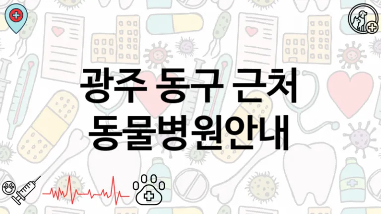 광주 동구 근처 동물병원추천