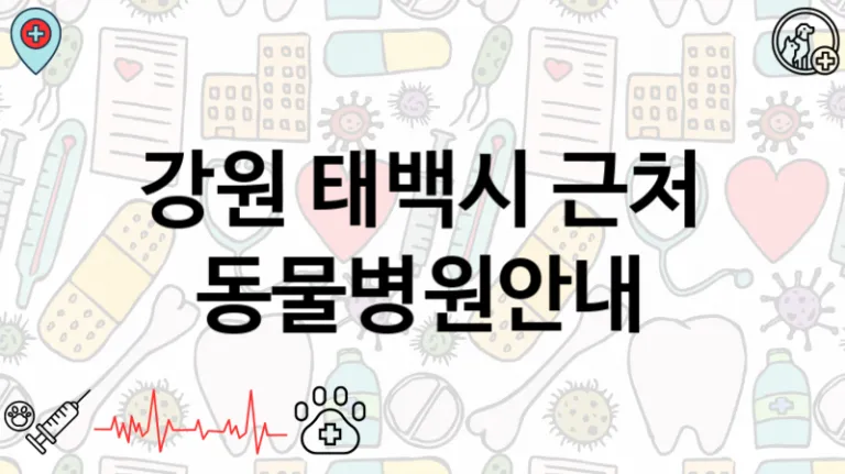 강원 태백시  동물병원추천