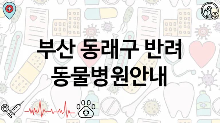 동래구 추천하는 인근 반려 동물병원