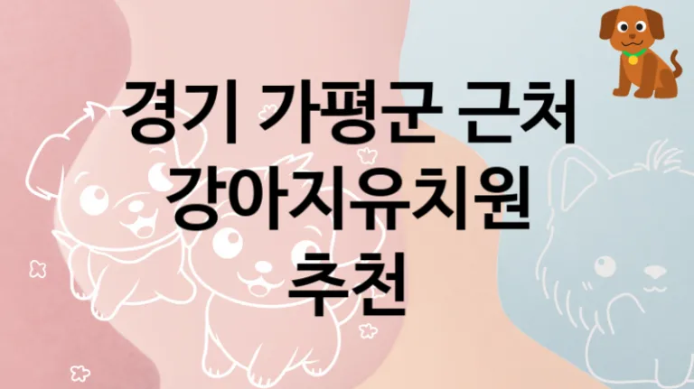 가평군  댕댕이 강아지유치원 소개, 교육 및 관리 케어가격