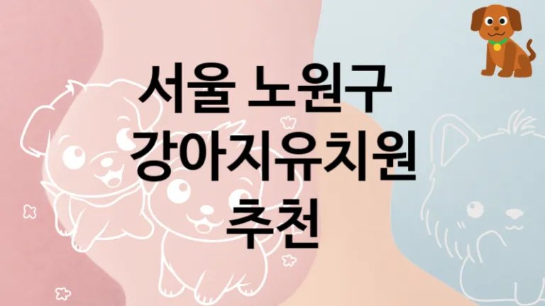 서울 노원구 근처 강아지유치원 놀이터