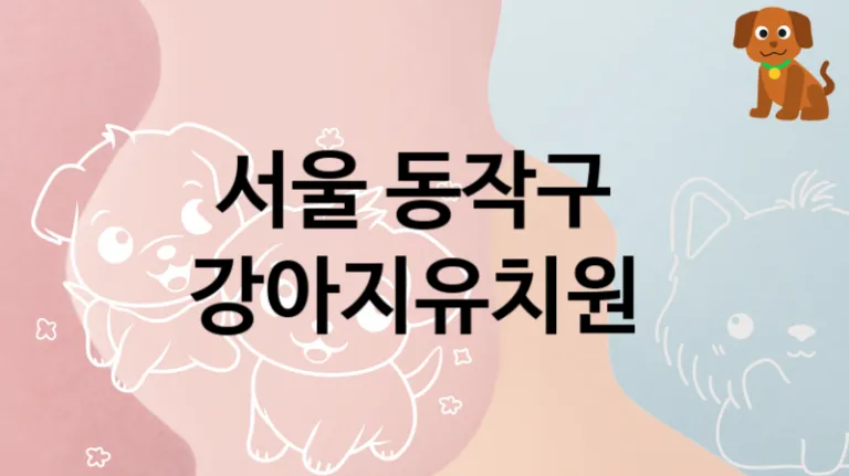 동작구 추천하는 댕댕이 강아지유치원 안내, 놀이터 및 교육 케어비용