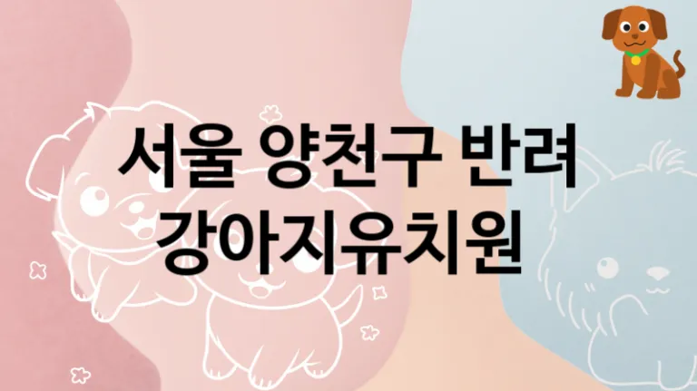 양천구 추천하는 반려견 강아지유치원 소개, 교육 및 관리 비용