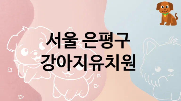 서울 은평구 반려견 강아지유치원 놀이터 추천