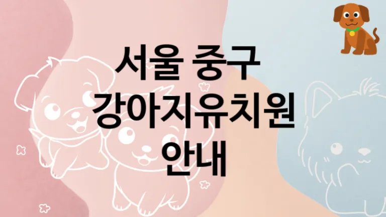 중구 추천 댕댕이 강아지유치원 소개, 놀이터 및 교육 가격