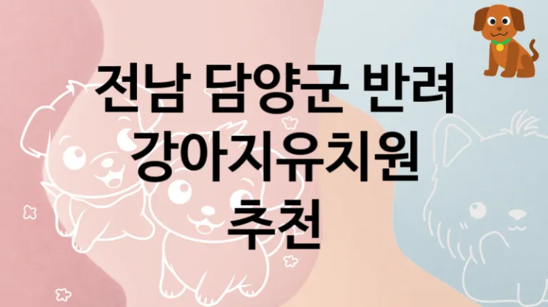 전남 담양군 근처 강아지유치원