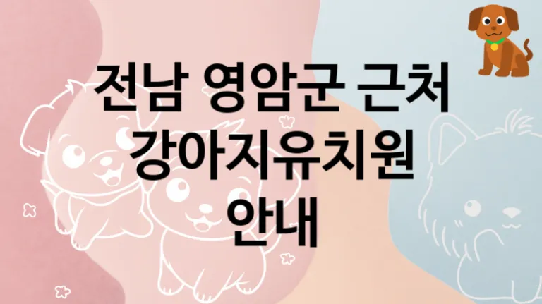 영암군 추천 댕댕이 강아지유치원 소개, 교육 및 관리 케어가격