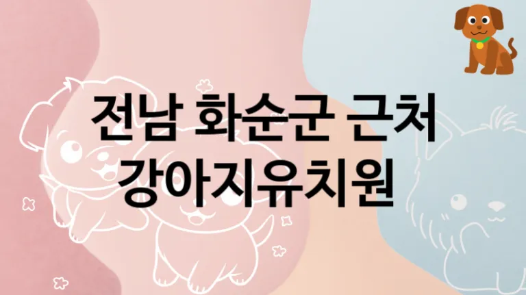 전남 화순군 반려견 강아지유치원
