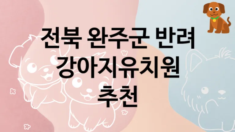 완주군 추천하는 댕댕이 강아지유치원 추천, 놀이터 및 교육 케어비용
