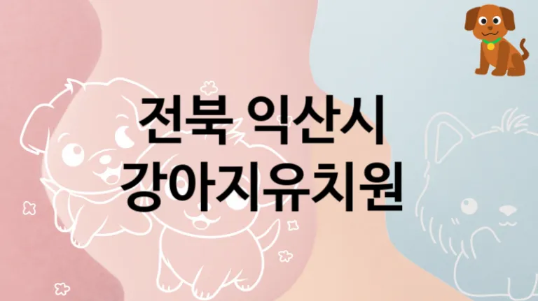 익산시 추천하는 반려견 강아지유치원 안내, 놀이터 및 교육 가격