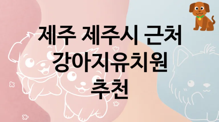 제주시  댕댕이 강아지유치원 소개, 놀이터 및 교육 케어가격