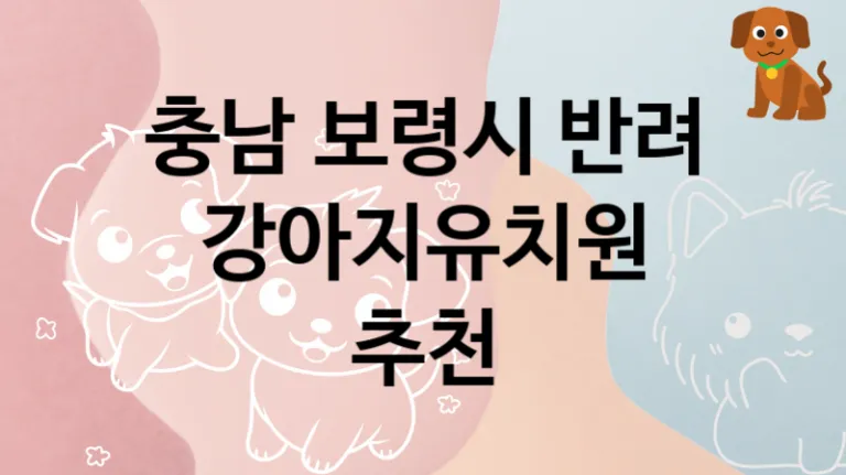 충남 보령시 반려견 강아지유치원 놀이터