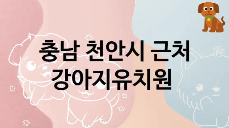 천안시 추천하는 반려견 강아지유치원 추천, 놀이터 및 교육 비용