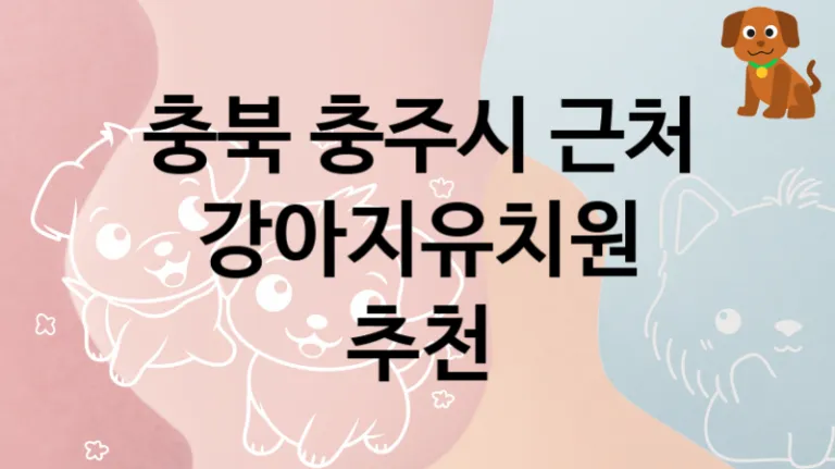 충북 충주시 인근 강아지유치원 놀이터 추천