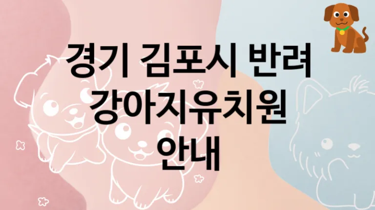 경기 김포시 근처 강아지유치원 놀이터 안내