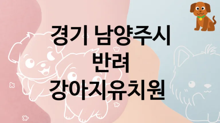 경기 남양주시 근처 강아지유치원 놀이터 추천