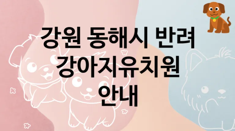 동해시 추천 반려견 강아지유치원 추천, 교육 및 관리 케어비용