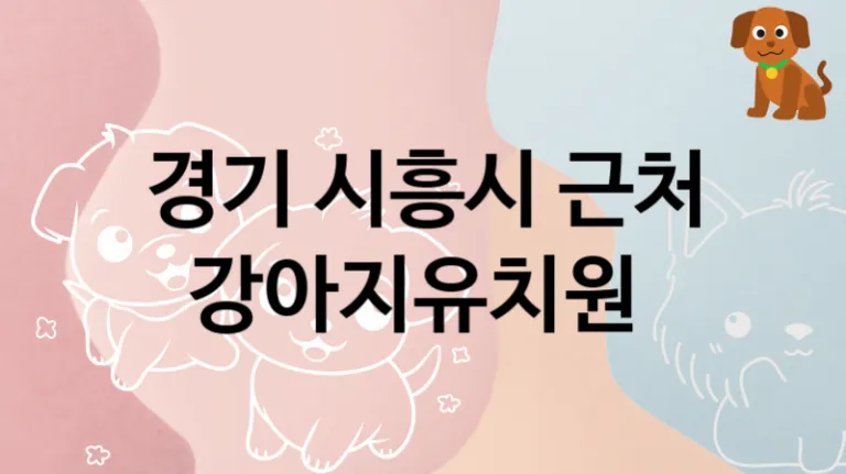 경기 시흥시 반려견 강아지유치원 놀이터 안내
