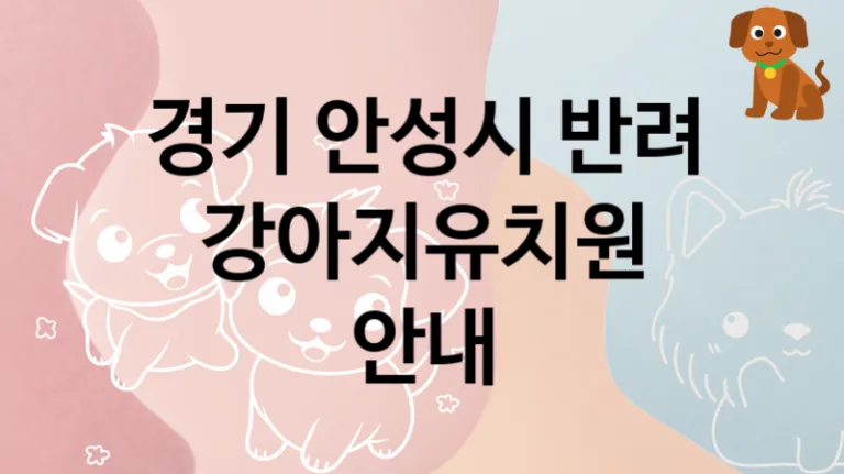 안성시 후기 좋은  강아지유치원 놀이터추천, 케어가격