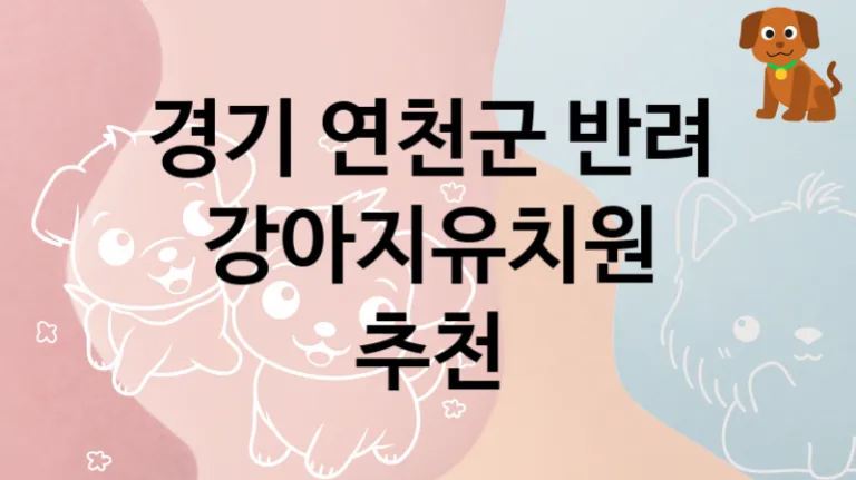 연천군 추천 댕댕이 강아지유치원 안내, 놀이터 및 교육 케어가격