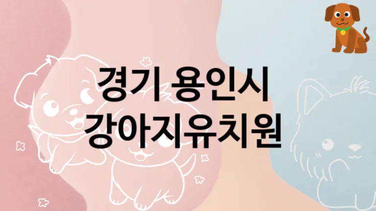 경기 용인시 인근 강아지유치원 놀이터