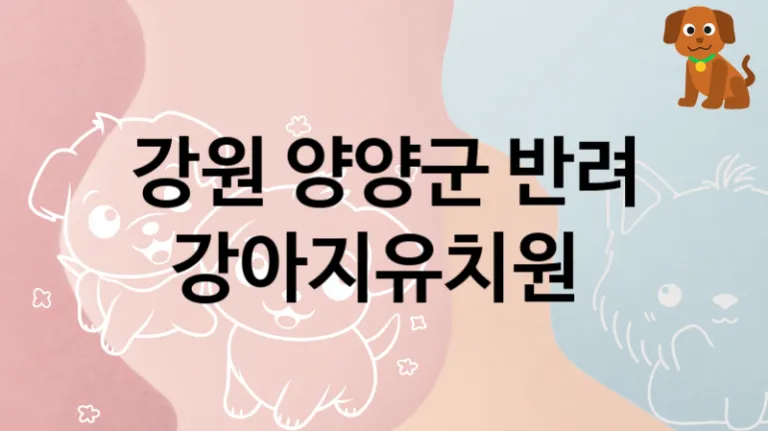 양양군  댕댕이 강아지유치원 안내, 교육 및 관리 케어가격