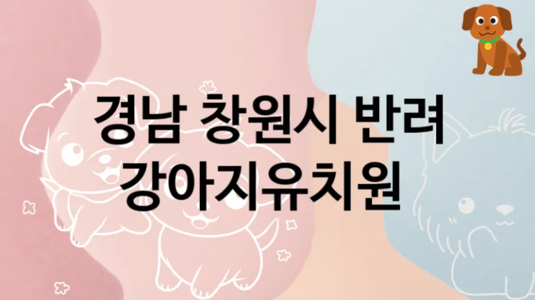 창원시 관리 잘하는 반려견 강아지유치원 추천, 케어가격