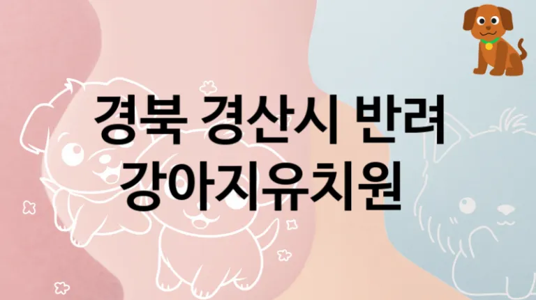 경산시 케어 잘 하는 반려견 강아지유치원 안내, 케어가격