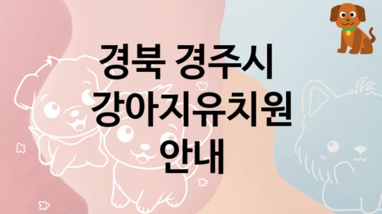 경주시 후기 좋은 반려견 강아지유치원 안내, 가격