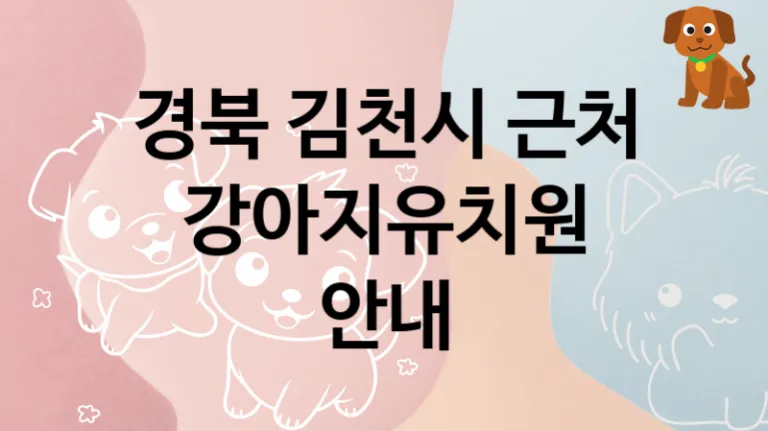 경북 김천시 댕댕이 강아지유치원  추천