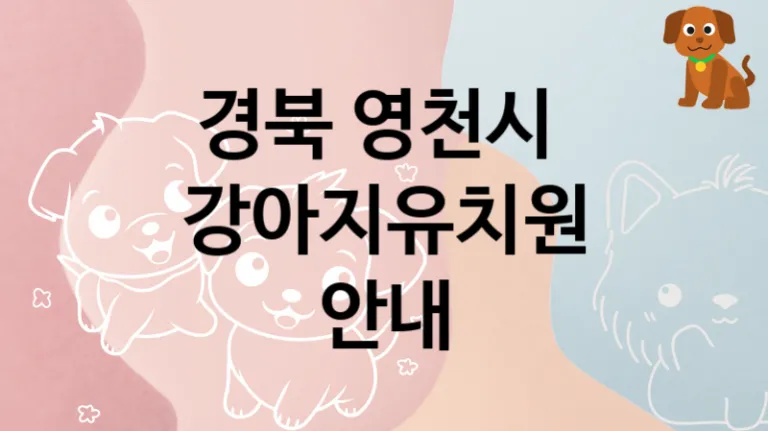 경북 영천시 반려견 강아지유치원