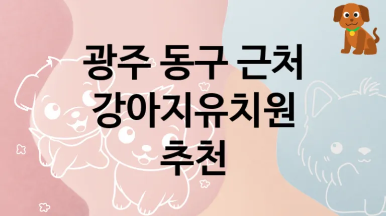 동구 후기 좋은 댕댕이 강아지유치원 놀이터, 가격