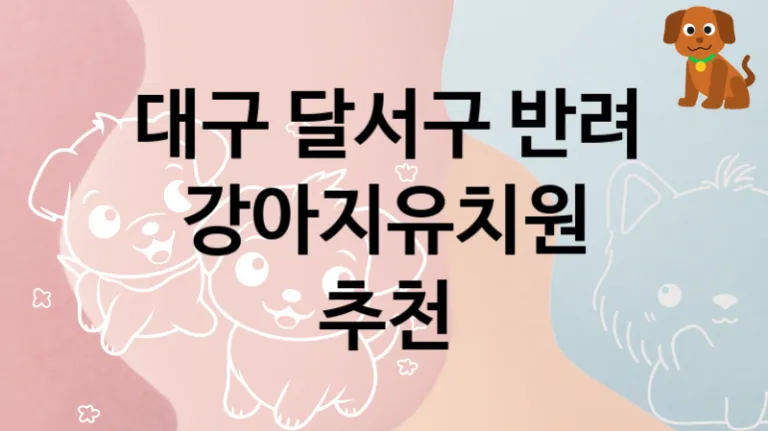 대구 달서구 반려견 강아지유치원 놀이터 추천
