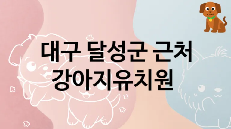 대구 달성군 근처 강아지유치원 놀이터 추천