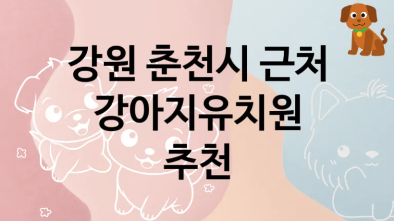 춘천시 추천 댕댕이 강아지유치원 안내, 교육 및 관리 돌보미비용