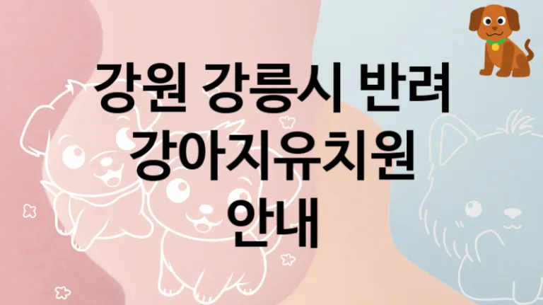 강릉시 추천 댕댕이 강아지유치원 추천, 놀이터 및 교육 케어비용