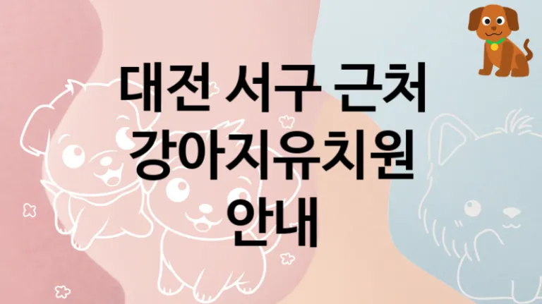 대전 서구 반려견 강아지유치원 놀이터 안내