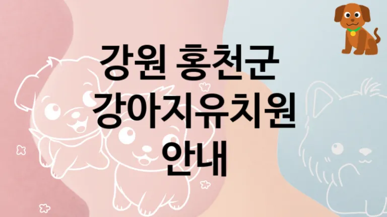 홍천군  댕댕이 강아지유치원 놀이터, 돌보미비용