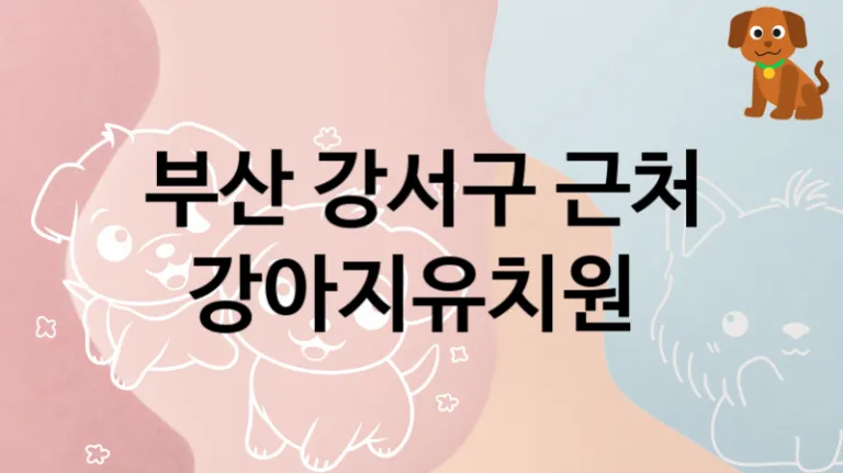강서구  반려견 강아지유치원 소개, 교육 및 관리 비용