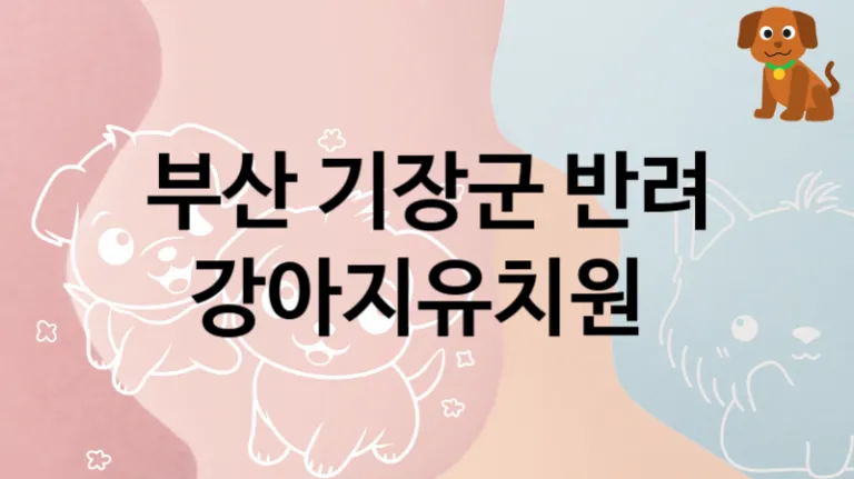기장군 후기 좋은 댕댕이 강아지유치원 안내, 돌보미비용